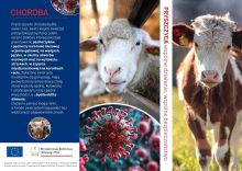 Ulotka informacyjna na temat pryszczycy