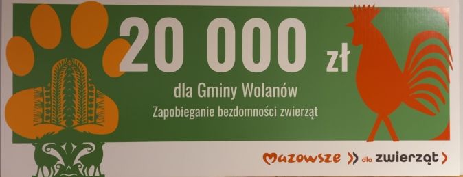 Zapobieganie bezdomności zwierząt w gminie Wolanów