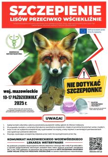 Akcja szczepienia lisów przeciwko wściekliźnie