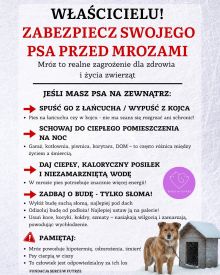 Właścicielu! Zabezpiecz swojego psa przed mrozami