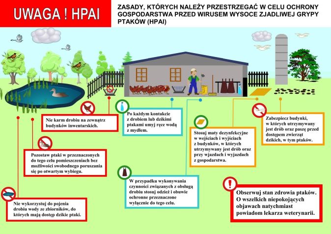 Ulotka informacyjna HPAI