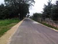 Droga w miejscowości Kolonia Wawrzyszów