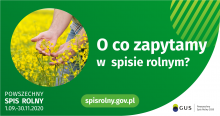 Pakiet 2 zakres pytań - grafika do wpisu-2