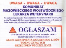 Akcja szczepienia lisów przeciwko wściekliźnie