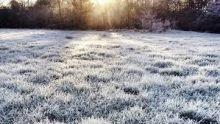 Ostrzeżenie meteorologiczne - przymrozki.