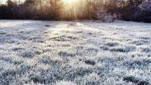 Ostrzeżenie meteorologiczne - przymrozki.