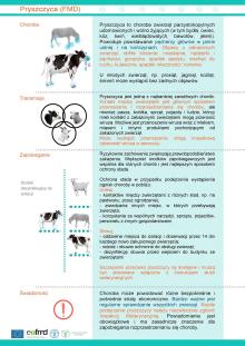 Ulotka informacyjna na temat pryszczycy