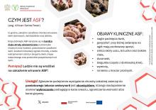 Informacja w sprawie afrykańskiego pomoru świń