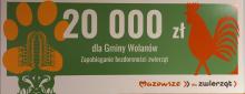 Zapobieganie bezdomności zwierząt w gminie Wolanów