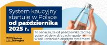 SYSTEM KAUCYJNY