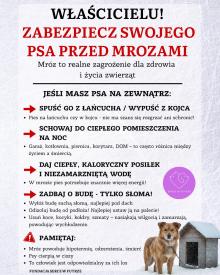 UWAGA! SILNE MROZY – Zadbajmy o psy